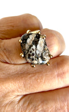 Montana Agate Coquina bronze ring